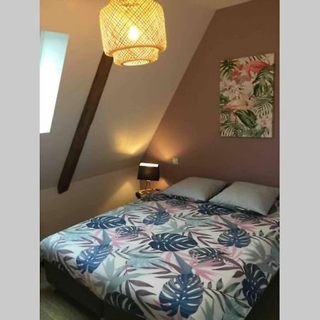 Appartement Dans Maison De 1789 Au Centre De Vitre Exteriér fotografie